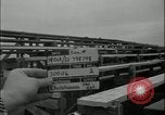 Image of leaflet drop information dissemination demonstration Fort Riley Kansas USA, 1951, second 53 stock footage video 65675078826