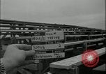 Image of leaflet drop information dissemination demonstration Fort Riley Kansas USA, 1951, second 54 stock footage video 65675078826