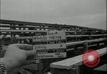Image of leaflet drop information dissemination demonstration Fort Riley Kansas USA, 1951, second 55 stock footage video 65675078826