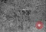 Image of psychological warfare loudspeaker Fort Riley Kansas USA, 1951, second 21 stock footage video 65675078827