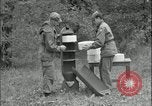 Image of large leaflet bomb assembly Fort Riley Kansas USA, 1951, second 48 stock footage video 65675078829