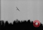 Image of glider training Germany Germany, 1965, second 16 stock footage video 65675078834