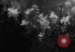 Image of glider training Germany Germany, 1965, second 20 stock footage video 65675078834