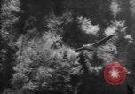 Image of glider training Germany Germany, 1965, second 22 stock footage video 65675078834