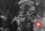 Image of glider training Germany Germany, 1965, second 23 stock footage video 65675078834