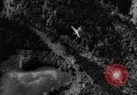 Image of glider training Germany Germany, 1965, second 62 stock footage video 65675078834