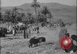 Image of Arab Uprising against Ottoman Empire Syria, 1916, second 20 stock footage video 65675078835