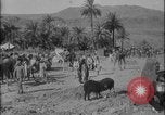 Image of Arab Uprising against Ottoman Empire Syria, 1916, second 24 stock footage video 65675078835