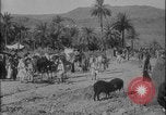 Image of Arab Uprising against Ottoman Empire Syria, 1916, second 26 stock footage video 65675078835