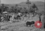 Image of Arab Uprising against Ottoman Empire Syria, 1916, second 27 stock footage video 65675078835