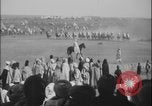 Image of Arabian horses raced Middle East, 1918, second 53 stock footage video 65675078837