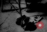 Image of UNRRA refugee children Poland Poland, 1946, second 20 stock footage video 65675078843