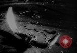 Image of 40 Wall Street plane crash New York City USA, 1946, second 25 stock footage video 65675078844