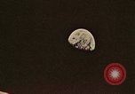 Image of Apollo 11 celebrations United States USA, 1969, second 27 stock footage video 65675078853