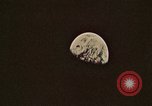 Image of Apollo 11 celebrations United States USA, 1969, second 29 stock footage video 65675078853