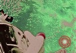 Image of Apollo 11 celebrations United States USA, 1969, second 40 stock footage video 65675078853