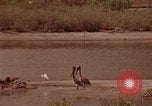 Image of Saturn rocket moving crawler-transporter Florida United States USA, 1970, second 47 stock footage video 65675078854