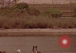 Image of Saturn rocket moving crawler-transporter Florida United States USA, 1970, second 48 stock footage video 65675078854