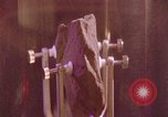 Image of moon rock analysis United States USA, 1972, second 15 stock footage video 65675078860