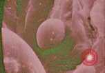 Image of astronauts singing bunny hopping United States USA, 1972, second 1 stock footage video 65675078861