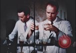 Image of crime evidence Alabama, 1951, second 44 stock footage video 65675078869