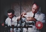 Image of crime evidence Alabama, 1951, second 46 stock footage video 65675078869