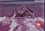 Standbild Kap Cod Cape Cod Massachusetts USA, 1970, aus Sekunde 45 historischem Filmmaterial Videoclip 65675078885