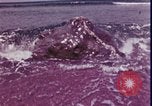 Standbild Kap Cod Cape Cod Massachusetts USA, 1970, aus Sekunde 47 historischem Filmmaterial Videoclip 65675078885