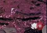 Standbild Kap Cod Cape Cod Massachusetts USA, 1970, aus Sekunde 62 historischem Filmmaterial Videoclip 65675078885