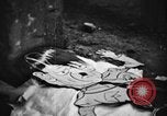 Standbild Warschauer Ghetto Warschau Polen, 1943, aus Sekunde 33 historischem Filmmaterial Videoclip 65675078892