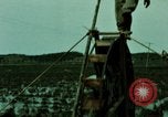 Standbild Koreanische Bauern Bewässern von Pflanzen Korea, 1969, aus Sekunde 4 historischem Filmmaterial Videoclip 65675078900