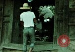 Standbild Koreanische Bauern Bewässern von Pflanzen Korea, 1969, aus Sekunde 23 historischem Filmmaterial Videoclip 65675078900