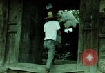 Standbild Koreanische Bauern Bewässern von Pflanzen Korea, 1969, aus Sekunde 24 historischem Filmmaterial Videoclip 65675078900
