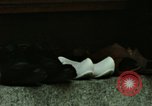 Standbild Koreanische Bauern Bewässern von Pflanzen Korea, 1969, aus Sekunde 56 historischem Filmmaterial Videoclip 65675078900