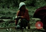Image of first Korean oil refinery with fertilizer plant Korea, 1969, second 37 stock footage video 65675078903