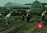 Image of first Korean oil refinery with fertilizer plant Korea, 1969, second 39 stock footage video 65675078903
