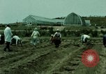 Image of first Korean oil refinery with fertilizer plant Korea, 1969, second 40 stock footage video 65675078903