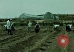 Image of first Korean oil refinery with fertilizer plant Korea, 1969, second 41 stock footage video 65675078903