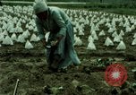 Image of first Korean oil refinery with fertilizer plant Korea, 1969, second 44 stock footage video 65675078903