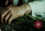 Image of first Korean oil refinery with fertilizer plant Korea, 1969, second 47 stock footage video 65675078903