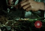 Image of first Korean oil refinery with fertilizer plant Korea, 1969, second 48 stock footage video 65675078903