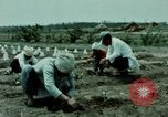 Image of first Korean oil refinery with fertilizer plant Korea, 1969, second 54 stock footage video 65675078903