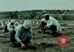 Image of first Korean oil refinery with fertilizer plant Korea, 1969, second 55 stock footage video 65675078903