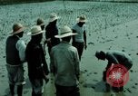 Image of first Korean oil refinery with fertilizer plant Korea, 1969, second 56 stock footage video 65675078903