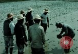 Image of first Korean oil refinery with fertilizer plant Korea, 1969, second 57 stock footage video 65675078903