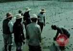 Image of first Korean oil refinery with fertilizer plant Korea, 1969, second 58 stock footage video 65675078903