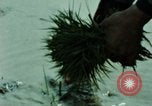 Image of first Korean oil refinery with fertilizer plant Korea, 1969, second 59 stock footage video 65675078903
