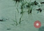 Image of first Korean oil refinery with fertilizer plant Korea, 1969, second 60 stock footage video 65675078903