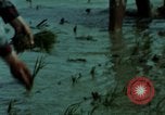 Image of first Korean oil refinery with fertilizer plant Korea, 1969, second 62 stock footage video 65675078903