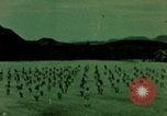 Image of Republic of Korea troops Vietnam Korea, 1965, second 37 stock footage video 65675078905